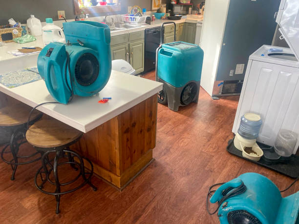 Best Water damage restoration mold remediation  in Yarrow Point, WA
