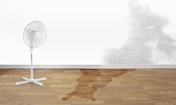 Best Water damage mitigation services  in Yarrow Point, WA