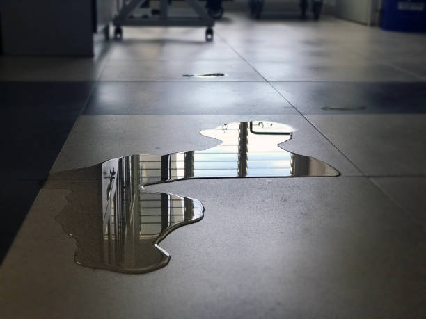 Best Professional water damage repair  in Yarrow Point, WA