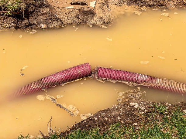 Best Local water damage restoration  in Yarrow Point, WA