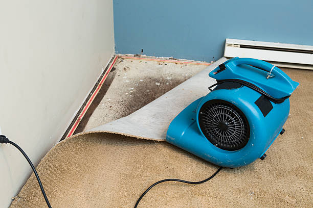 Water damage restoration mold remediation in Yarrow Point, WA
